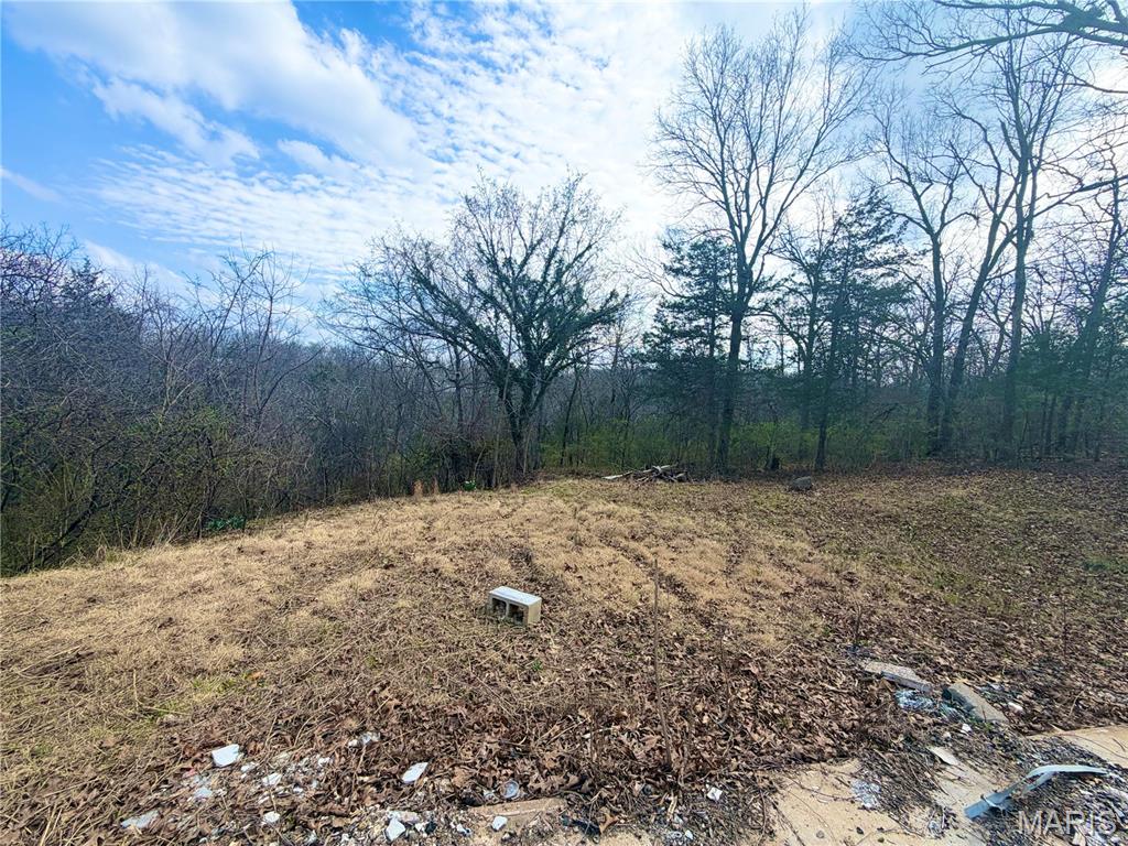 Olympian Village 06 Rev - Land