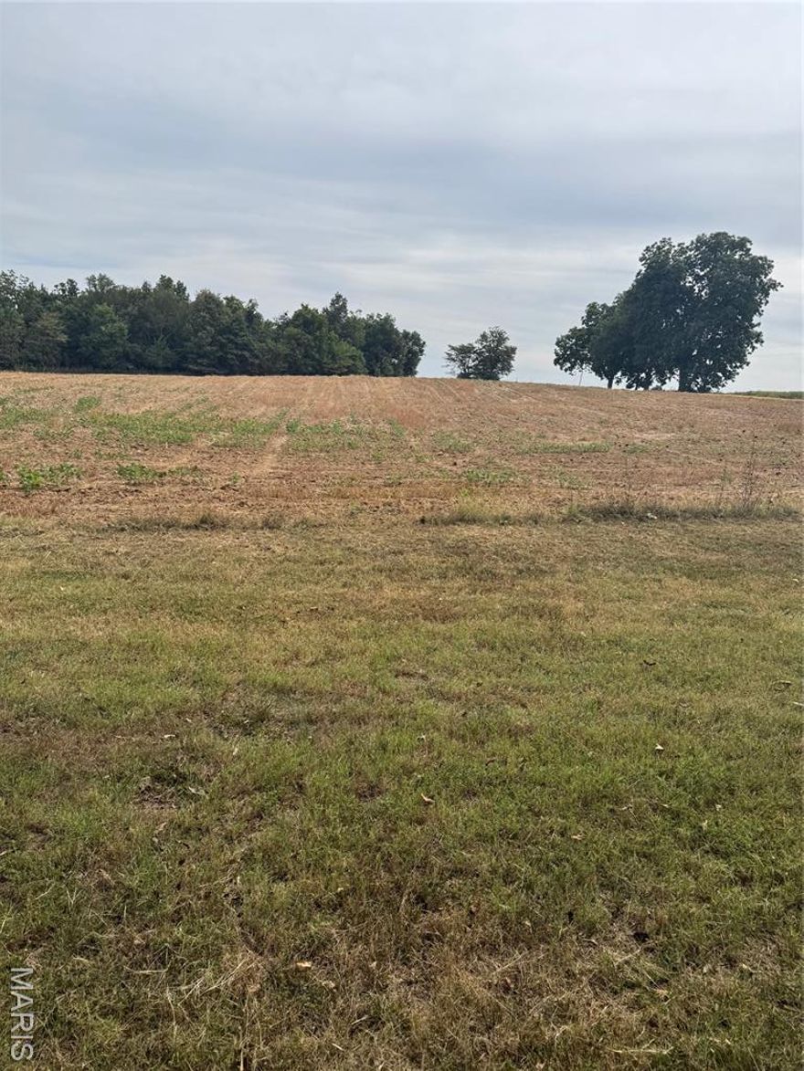 Looking for farm land, hunting land and a place to fish. This has it all. 40 acres M/L. About 10 acres M/L that is wooded. 30 acres that has been rented to same farmer for years.