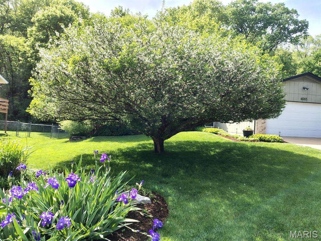 4265 Lorien Trail