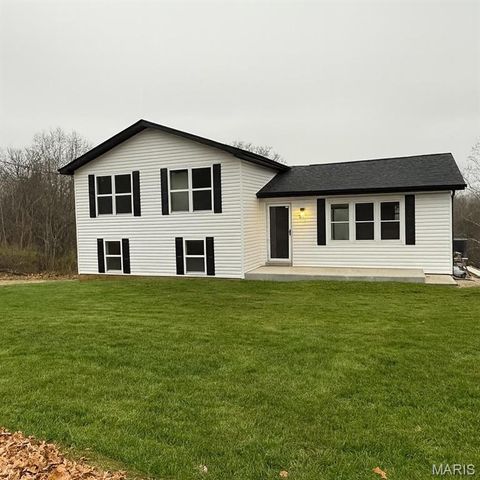 1910 Tinhouse Road Hillsboro MO 63050