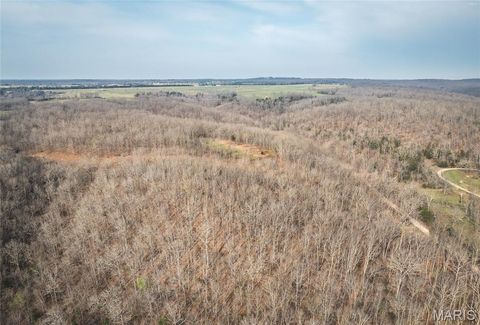 Photo of 12980 Canyon Road, Dixon, MO 65459 (MLS # 26020437)
