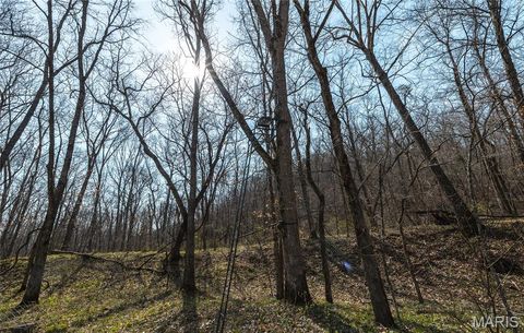 Tiny photo for 12980 Canyon Road, Dixon, MO 65459 (MLS # 26020437)