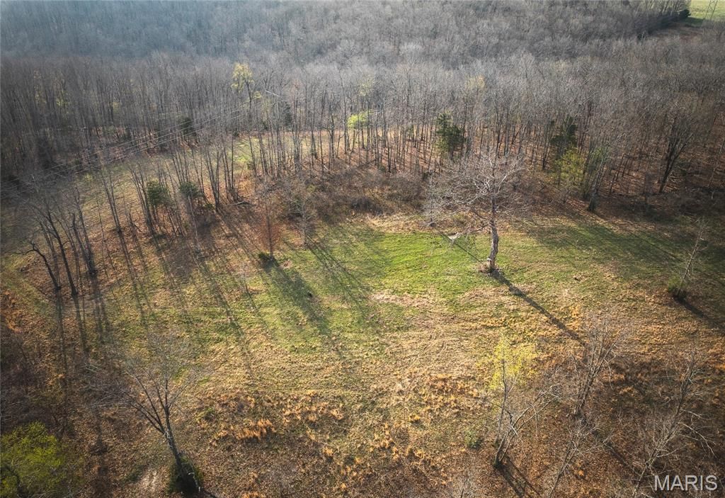 Photo of 12980 Canyon Road, Dixon, MO 65459 (MLS # 26020437)