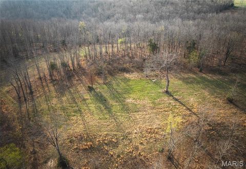 Tiny photo for 12980 Canyon Road, Dixon, MO 65459 (MLS # 26020437)