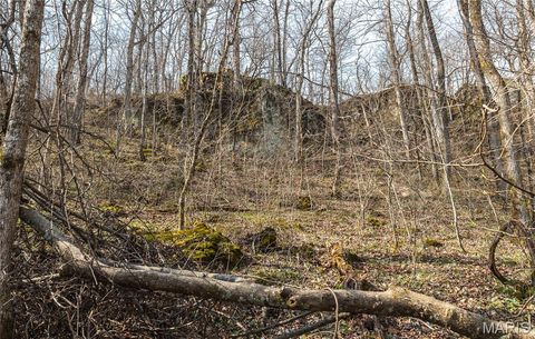 Tiny photo for 12980 Canyon Road, Dixon, MO 65459 (MLS # 26020437)