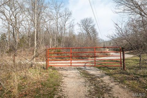 Tiny photo for 12980 Canyon Road, Dixon, MO 65459 (MLS # 26020437)