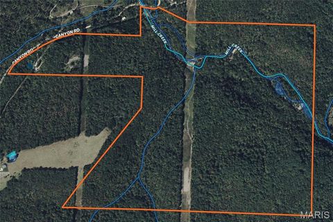 Tiny photo for 12980 Canyon Road, Dixon, MO 65459 (MLS # 26020437)