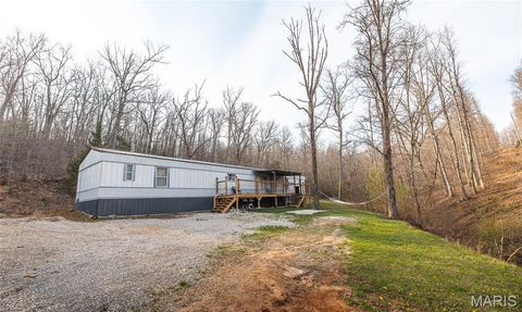 Tiny photo for 12980 Canyon Road, Dixon, MO 65459 (MLS # 26020437)