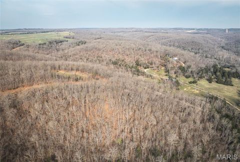 Tiny photo for 12980 Canyon Road, Dixon, MO 65459 (MLS # 26020437)