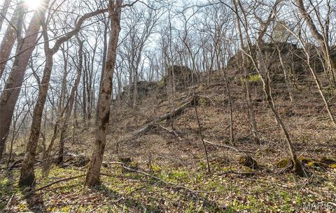 Tiny photo for 12980 Canyon Road, Dixon, MO 65459 (MLS # 26020437)
