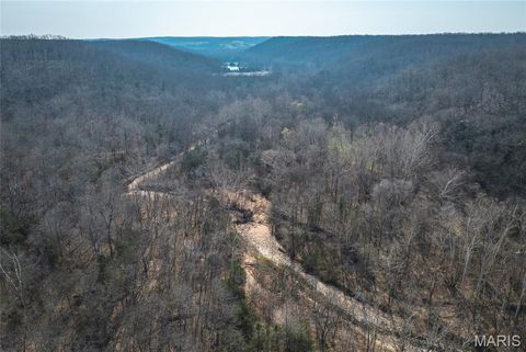 Tiny photo for 12980 Canyon Road, Dixon, MO 65459 (MLS # 26020437)