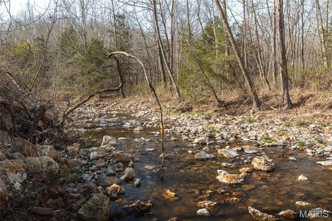 Tiny photo for 12980 Canyon Road, Dixon, MO 65459 (MLS # 26020437)