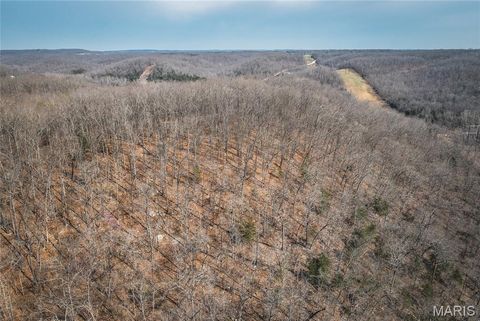 Tiny photo for 12980 Canyon Road, Dixon, MO 65459 (MLS # 26020437)