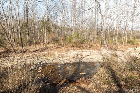Tiny photo for 12980 Canyon Road, Dixon, MO 65459 (MLS # 26020437)