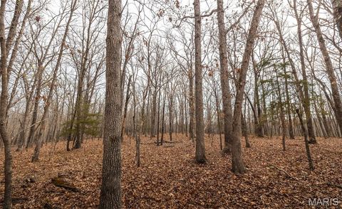 Tiny photo for 12980 Canyon Road, Dixon, MO 65459 (MLS # 26020437)