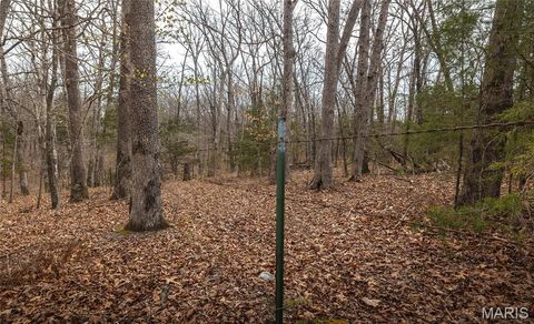Tiny photo for 12980 Canyon Road, Dixon, MO 65459 (MLS # 26020437)