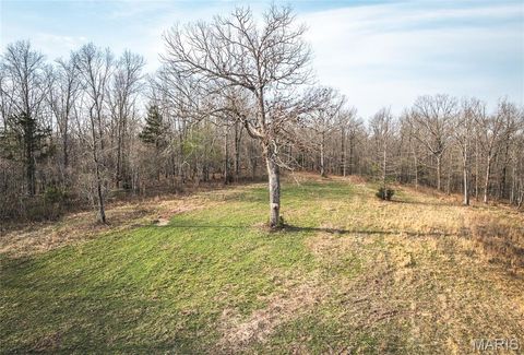Tiny photo for 12980 Canyon Road, Dixon, MO 65459 (MLS # 26020437)
