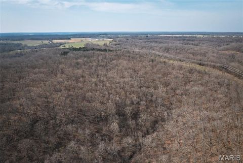 Tiny photo for 12980 Canyon Road, Dixon, MO 65459 (MLS # 26020437)