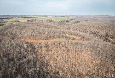 Tiny photo for 12980 Canyon Road, Dixon, MO 65459 (MLS # 26020437)