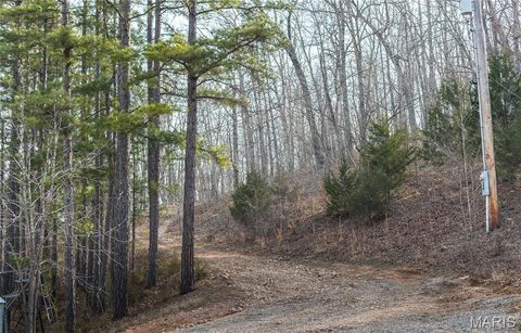 Tiny photo for 12980 Canyon Road, Dixon, MO 65459 (MLS # 26020437)