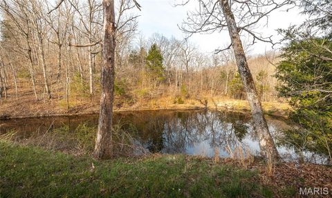Tiny photo for 12980 Canyon Road, Dixon, MO 65459 (MLS # 26020437)