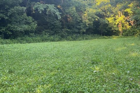 Tiny photo for 12980 Canyon Road, Dixon, MO 65459 (MLS # 26020437)