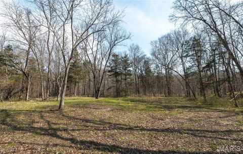 Tiny photo for 12980 Canyon Road, Dixon, MO 65459 (MLS # 26020437)
