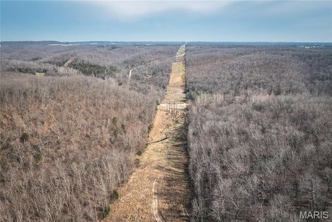 Tiny photo for 12980 Canyon Road, Dixon, MO 65459 (MLS # 26020437)