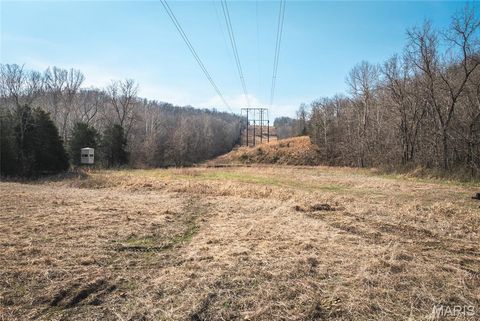 Tiny photo for 12980 Canyon Road, Dixon, MO 65459 (MLS # 26020437)