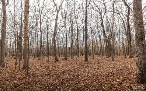 Tiny photo for 12980 Canyon Road, Dixon, MO 65459 (MLS # 26020437)