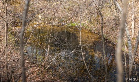 Tiny photo for 12980 Canyon Road, Dixon, MO 65459 (MLS # 26020437)