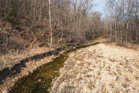 Tiny photo for 12980 Canyon Road, Dixon, MO 65459 (MLS # 26020437)