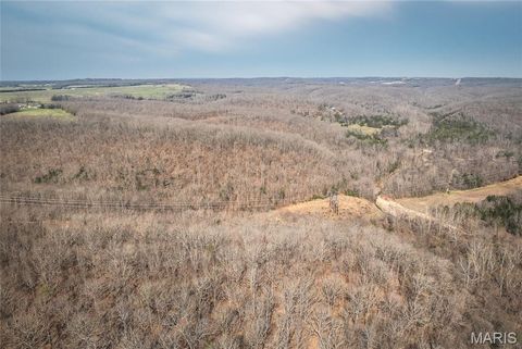 Tiny photo for 12980 Canyon Road, Dixon, MO 65459 (MLS # 26020437)