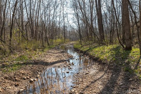 Tiny photo for 12980 Canyon Road, Dixon, MO 65459 (MLS # 26020437)