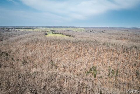 Tiny photo for 12980 Canyon Road, Dixon, MO 65459 (MLS # 26020437)