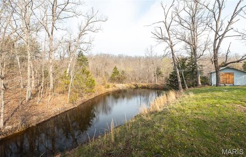 Tiny photo for 12980 Canyon Road, Dixon, MO 65459 (MLS # 26020437)