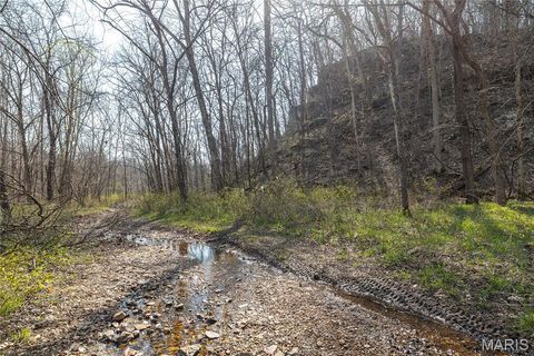 Tiny photo for 12980 Canyon Road, Dixon, MO 65459 (MLS # 26020437)