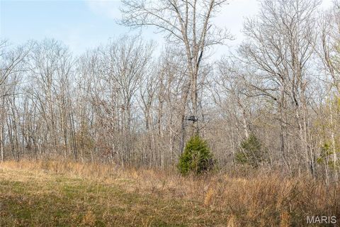 Tiny photo for 12980 Canyon Road, Dixon, MO 65459 (MLS # 26020437)