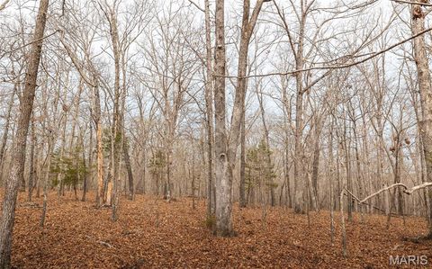 Tiny photo for 12980 Canyon Road, Dixon, MO 65459 (MLS # 26020437)
