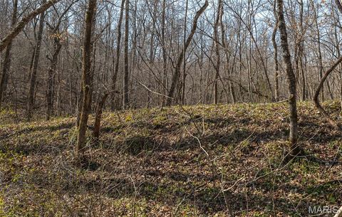 Tiny photo for 12980 Canyon Road, Dixon, MO 65459 (MLS # 26020437)