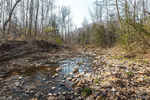 Tiny photo for 12980 Canyon Road, Dixon, MO 65459 (MLS # 26020437)