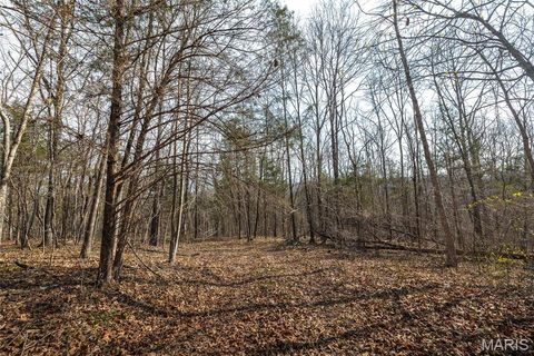 Tiny photo for 12980 Canyon Road, Dixon, MO 65459 (MLS # 26020437)