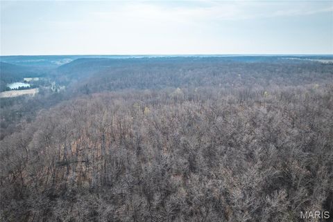Tiny photo for 12980 Canyon Road, Dixon, MO 65459 (MLS # 26020437)