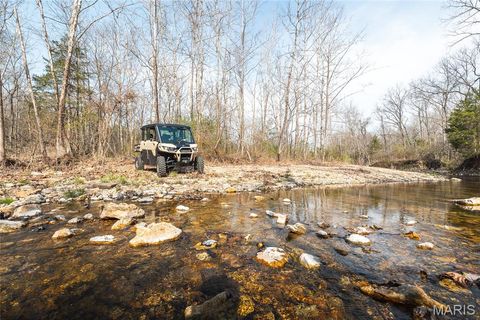 Tiny photo for 12980 Canyon Road, Dixon, MO 65459 (MLS # 26020437)