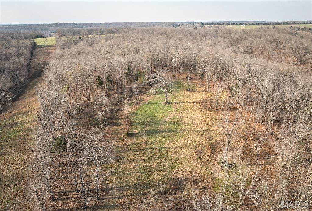 Photo of 12980 Canyon Road, Dixon, MO 65459 (MLS # 26020437)