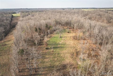 Tiny photo for 12980 Canyon Road, Dixon, MO 65459 (MLS # 26020437)