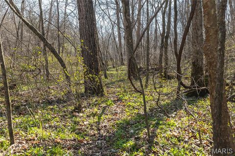 Tiny photo for 12980 Canyon Road, Dixon, MO 65459 (MLS # 26020437)