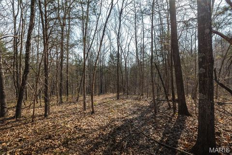 Tiny photo for 12980 Canyon Road, Dixon, MO 65459 (MLS # 26020437)