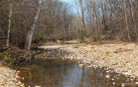 Tiny photo for 12980 Canyon Road, Dixon, MO 65459 (MLS # 26020437)