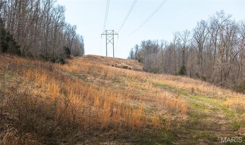 Tiny photo for 12980 Canyon Road, Dixon, MO 65459 (MLS # 26020437)